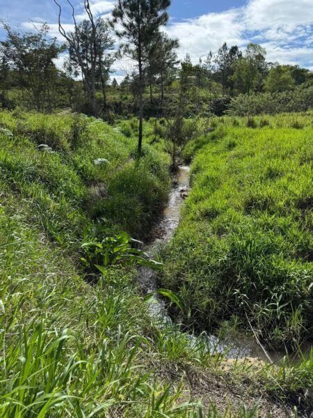 Propiedad en venta en Culmi Olancho