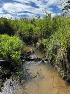 Propiedad en venta en Culmi Olancho