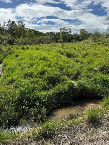 Propiedad en venta en Culmi Olancho