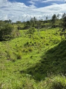 Propiedad en venta en Culmi Olancho