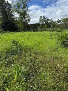 Propiedad en venta en Culmi Olancho